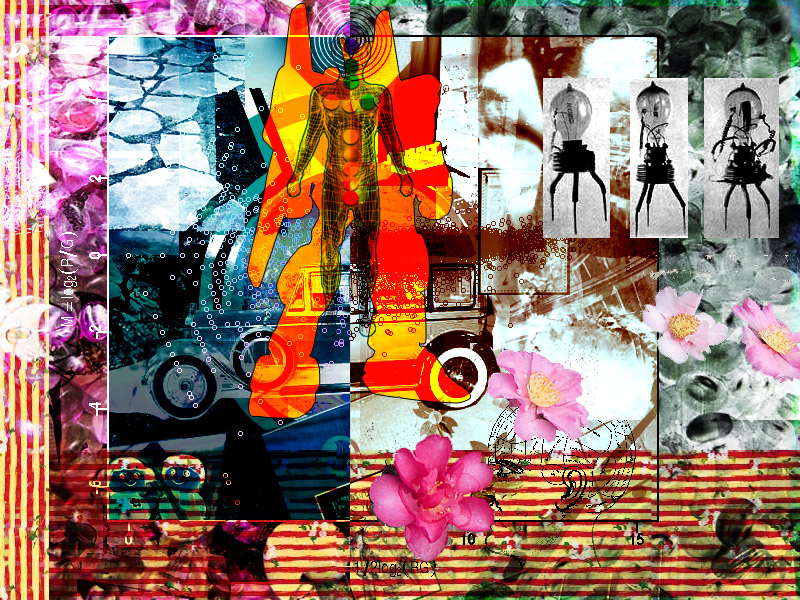 281. January 24, 2007